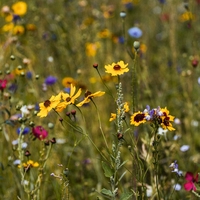 biodiverse