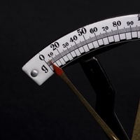 scale