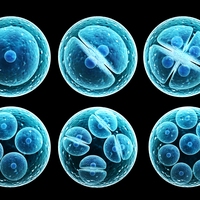 fission
