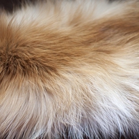 fur