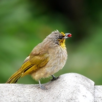 variable