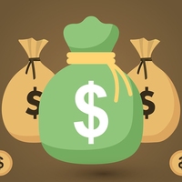 public finance