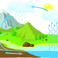 water cycle