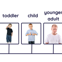 timeline
