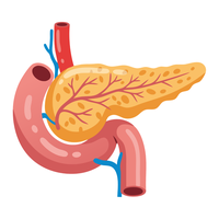 insulin