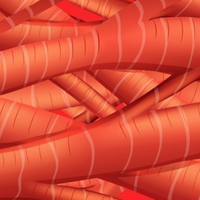 blood cell