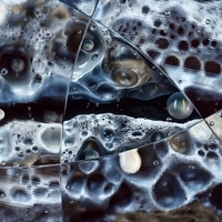 catalyse
