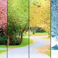 seasonal