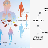 control systems
