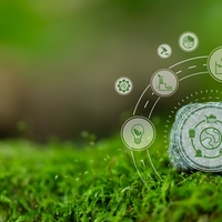 environmental impact