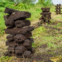 peat