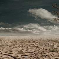 dry