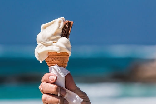 The Science of Summer: Exploring the Wonders of the Sun, Seasons and More!