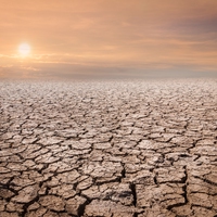 干旱