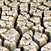 drought