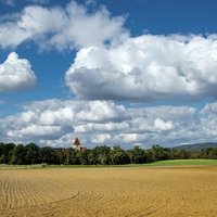 biodiversity
