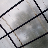 translucent