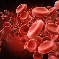 red blood cell
