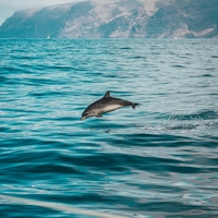 Atlantic Ocean