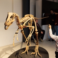 museum