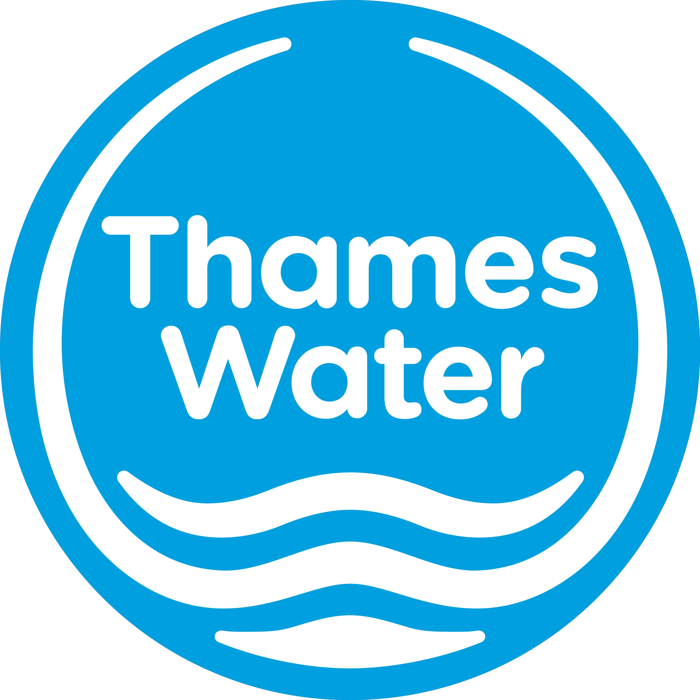 Sponsor Logo