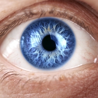 iris