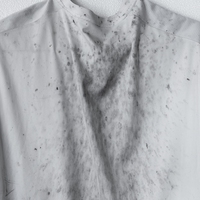 impurities