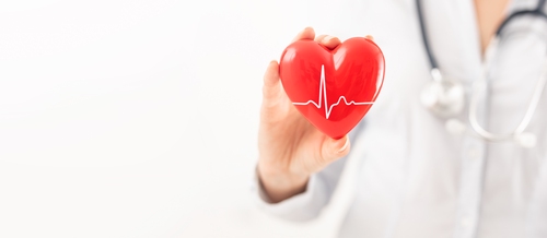 World Heart Day in the UK: Fun Science Activities for Primary School Teachers
