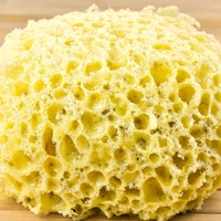 absorb