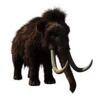 woolly mammoth