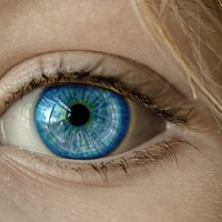 pupil