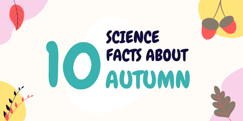 10 Science Facts About Autumn 