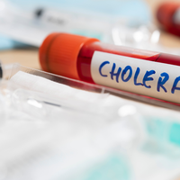 cholera