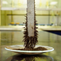 magnetic field