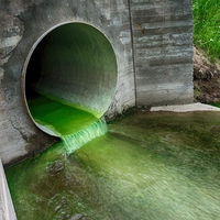 effluent