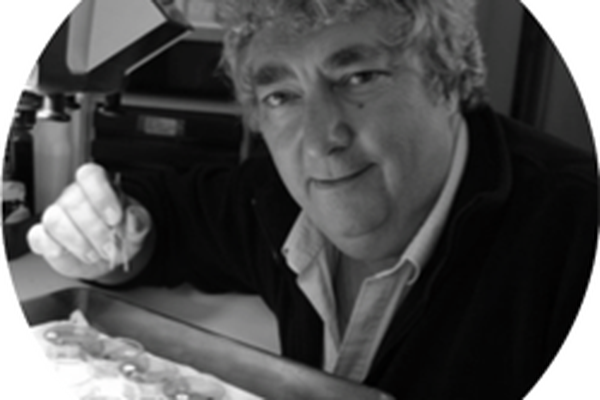 Dr Ian Bedford, Entomology Expert