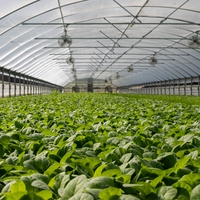 greenhouse