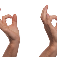 sign language
