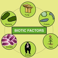 biotic