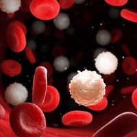 white blood cell