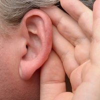 outer ear