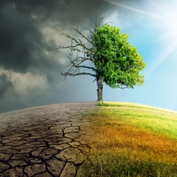 climate change