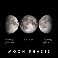 phase