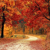 autumn
