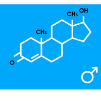 testosterone