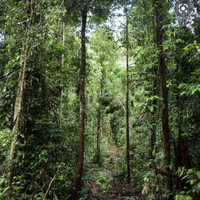 habitat