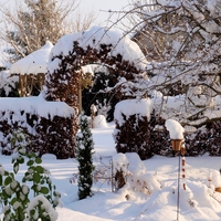 winter