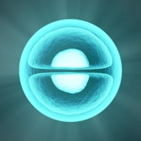 atoms
