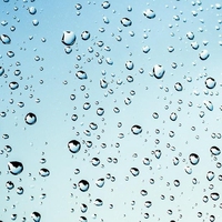 acid rain