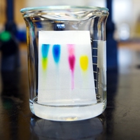 chromatography
